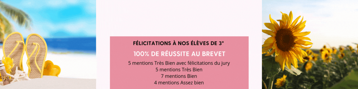 Pink Etsy Shop Banner Template (1).gif